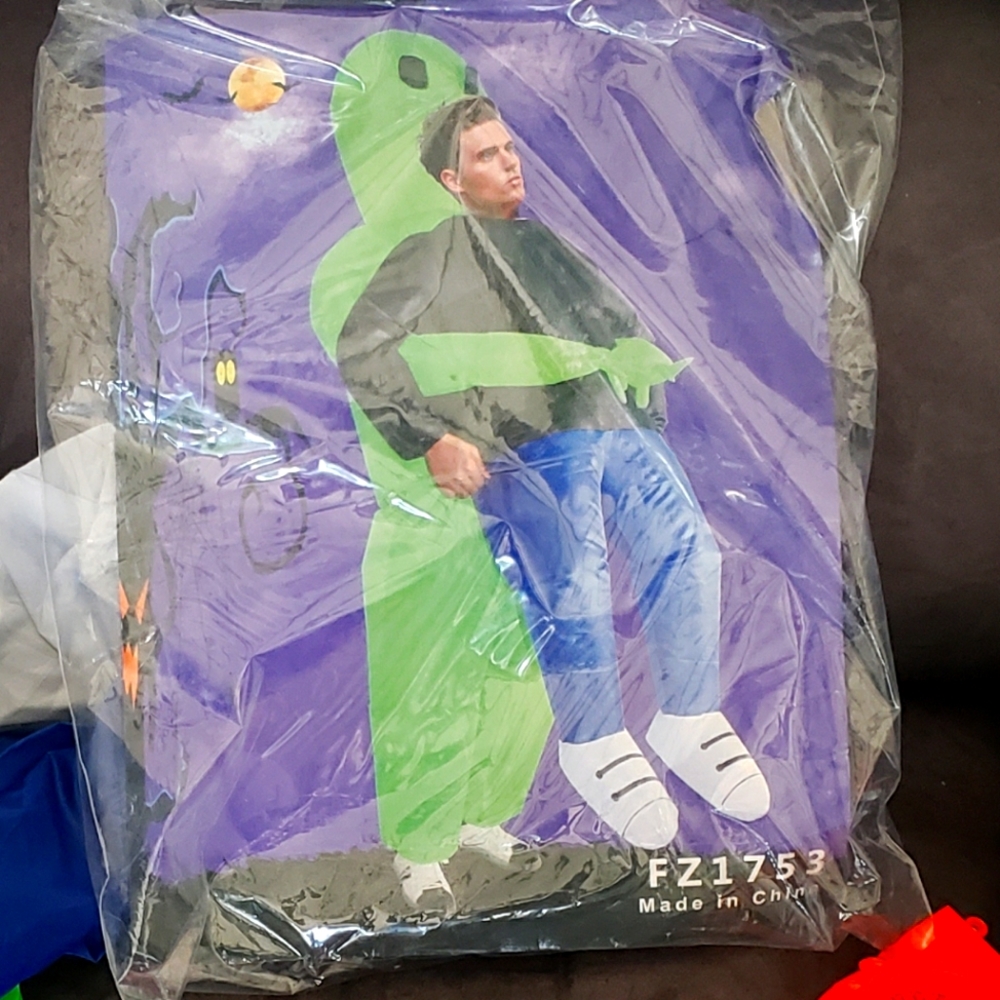 Alien rider costume